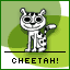 Cheetah!